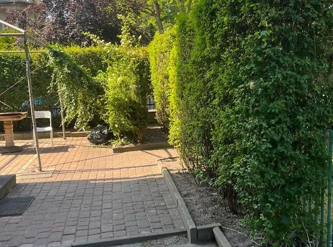 Apartman Small Prime Location